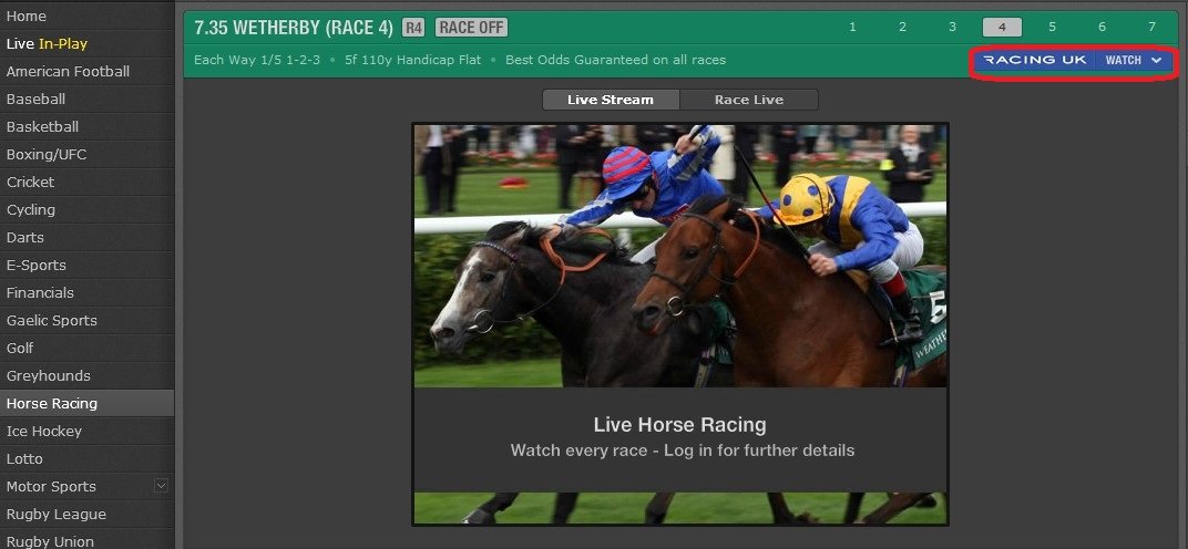 live race horse